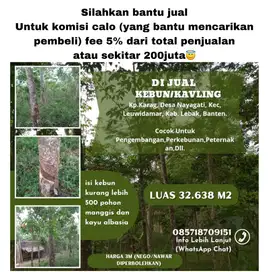 DIJUAL TANAH/ KEBUN MURAH,UNTUK PERKEBUNAAN, PETERNAKAN,PENGEMBANGAN.