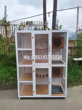 Kandang kucing kokoh dan unik