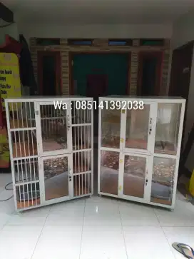 Kandang kucing kokoh dan unik