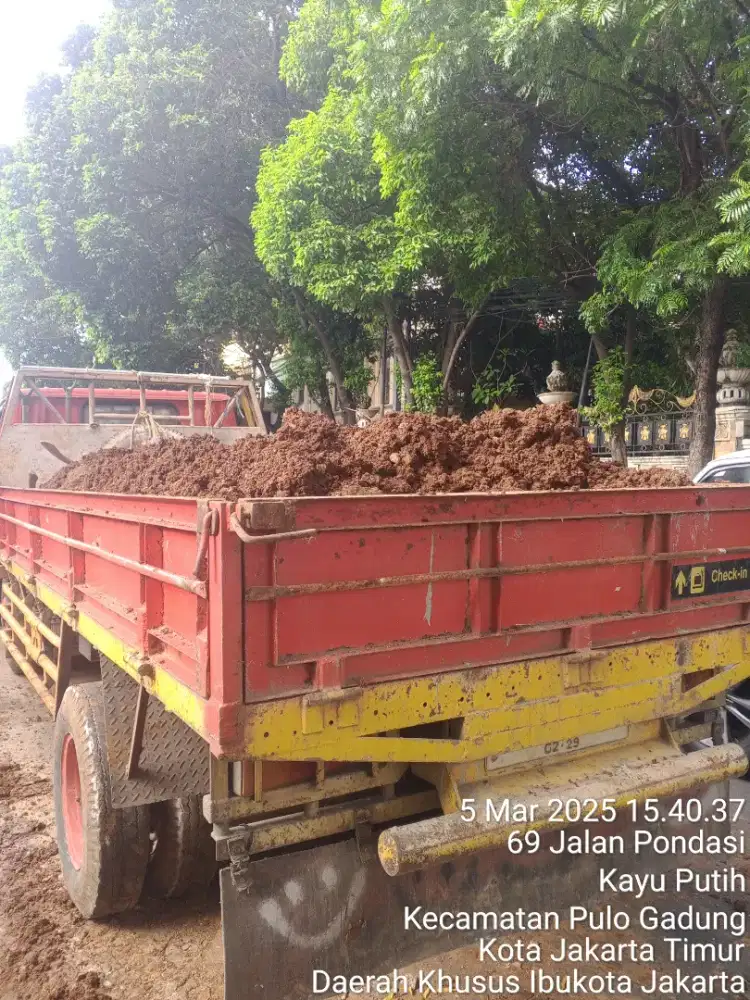 Buang puing, tanah,urugan dll