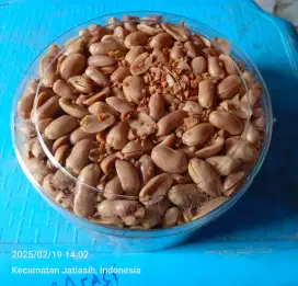 Jual kacang bawang mateng