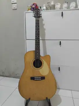 Gitar palmer original