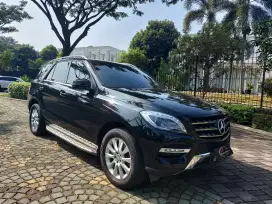 TERMURAH!! Mercedes-Benz ML250 CDI AWD 2015 Diesel 4X4