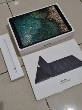 Jual iPad Pro (late 2017) 10.5 256 GB Wifi+Cell MINT!