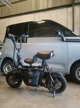Sepeda Listrik Fiido Modif 50jtan