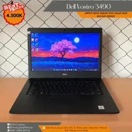 Dell Vostro 3490/i5-10210U/8GB/SSD 256GB/AMD Radeon 610 Series/WIN 11