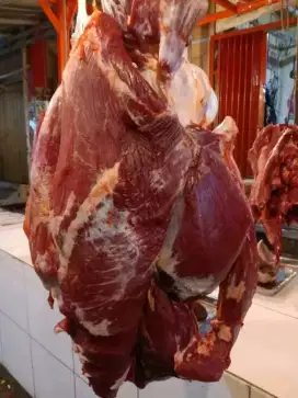 Daging Sapi Segar