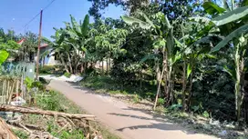 Tanah kebun dan sawah