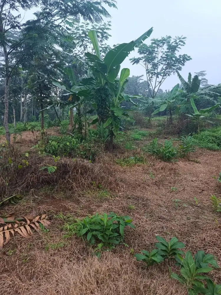 Dijual Tanah SHM seluas 6400 m2 di Mangunsari Semarang