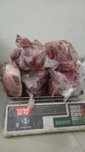 CEWEK nginap bersihin lemak daging NONHALAL BEBERES SAYANG DOGI KUCING