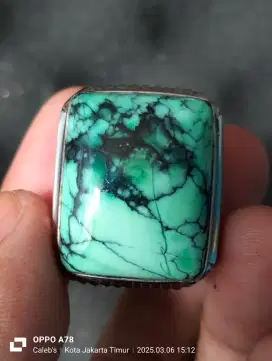 Pirus hijau pirus Amerika uk 8