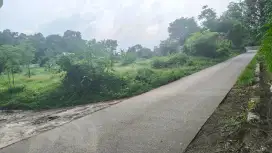 Dijual tanah Palasari Legok Tangerang