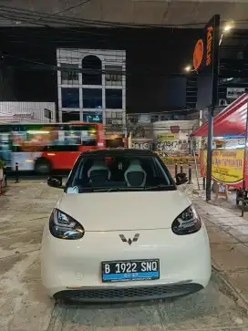 New binguo wuling