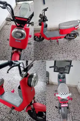 Sepeda Listrik DF8 600 Watt