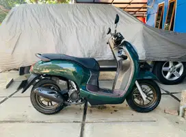 Scoopy Prestige Green 2023