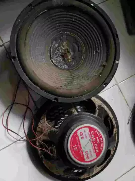 SPEAKER WOOFER BESAR KONDISI RUSAK MEREK CAN-NON PRO, DIAMETER '12 INC