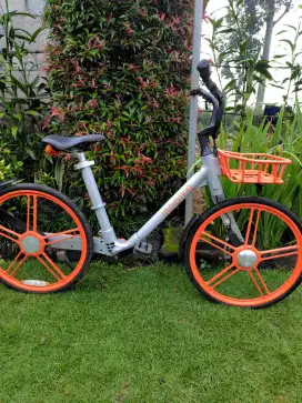 Sepeda Mobike unik