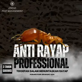 Jasa Anti Rayap Terbaik Tuntas Bergaransi