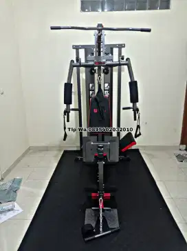 Home gym 1 sisi+legpres