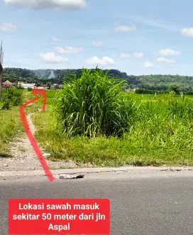 Dijual Sawah Murah di Bangunjiwo jln mobil masuk hnya 15 menit ke UMY