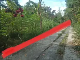 Dijual Pekarangan Murah Banget lokasi hanya 10 menit ke Kampus UMY