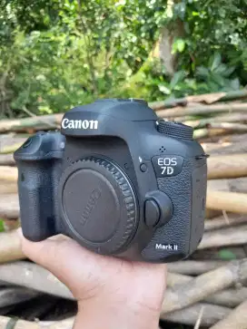 Canon 7d mak ii body only like new