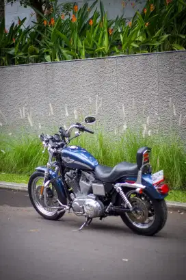 Harley Davidson XLH 883 Hugger Anniversary