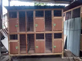 kandang 6 pintu