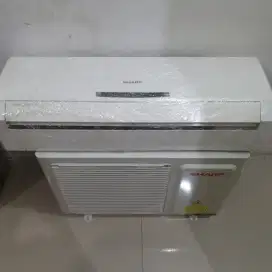 Second Ac sharp 1/2pk ( mulus )