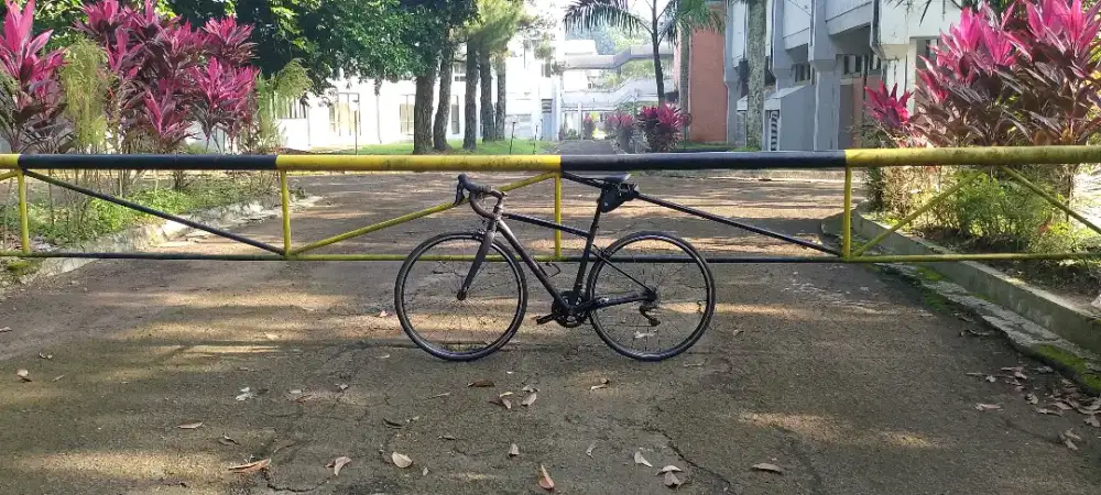 Roadbike ganteng Specialized  Elite size 49