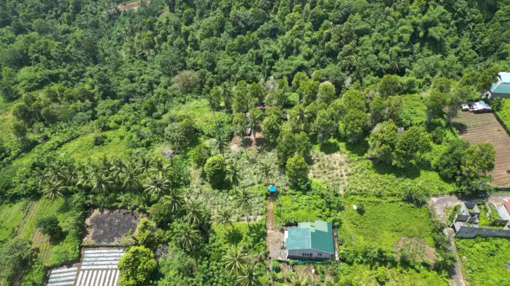 Tanah besar satu-satunya ditengah kota Ternate!