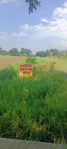 Tanah 873 m2 Murah buat tempat Usaha /Rumah