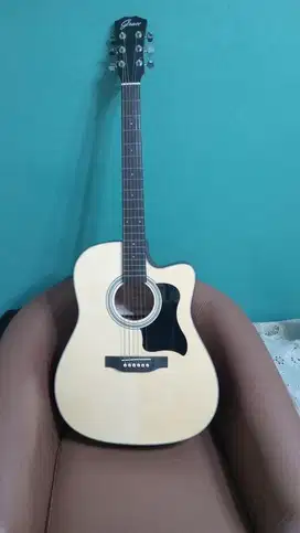 Acoustic guitar / Gitar akustik