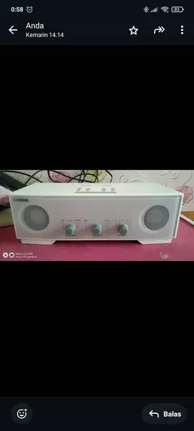 Speaker Yamaha TSX_80