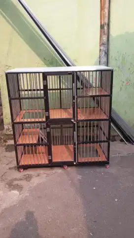 Kandang kucing 2kamar besar