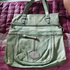 Tass fossil Mackenna