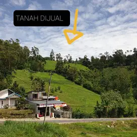 TANAH PINGGIR JALAN UTAMA DI SUKAU LAMPUNG BARAT