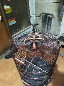 Kandang murai rafi jaya no. 1