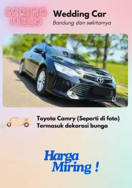 Sewa mobil pengantin