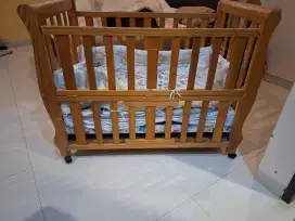 Box bayi jati belanda