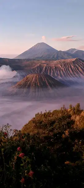 Dicari kerja Sabtu minggu