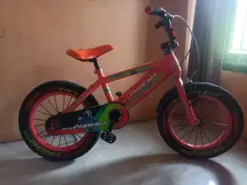 Jual sepeda anak