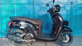Fazzio neo 2023 muluss
