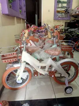 Jual Sepeda anak baru