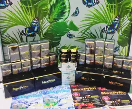 Jual herbal kesehatan Maxprim & Bioethes