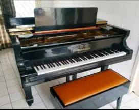 Grand Piano Rich Lipp and Sohn.ori Germany Stutgart.Panjang 185 cm