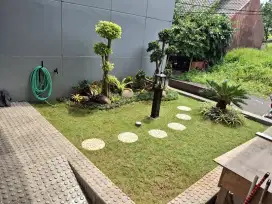 Tukang taman rumah jakarta