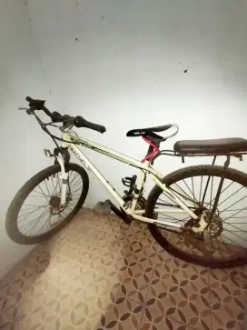 Sepeda Wimcycle RC-DX