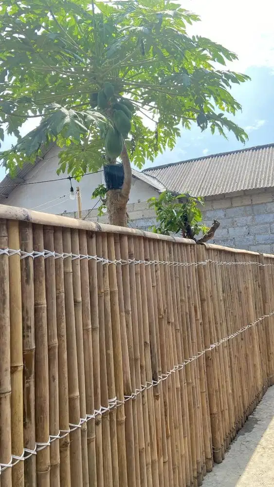 Pagar bambu taman minimalis