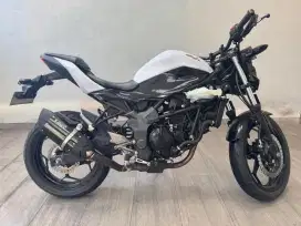 Kawasaki Ninja 250 Mono
